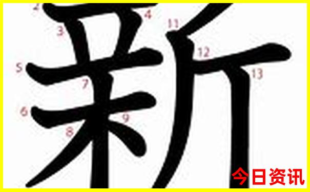 重庆市区网红打卡地方有哪些