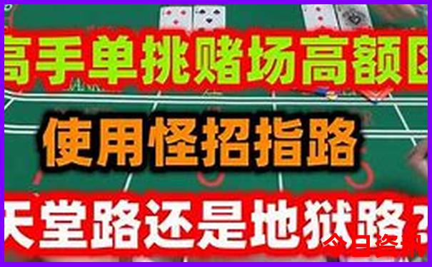 阳肖最准确的生肖